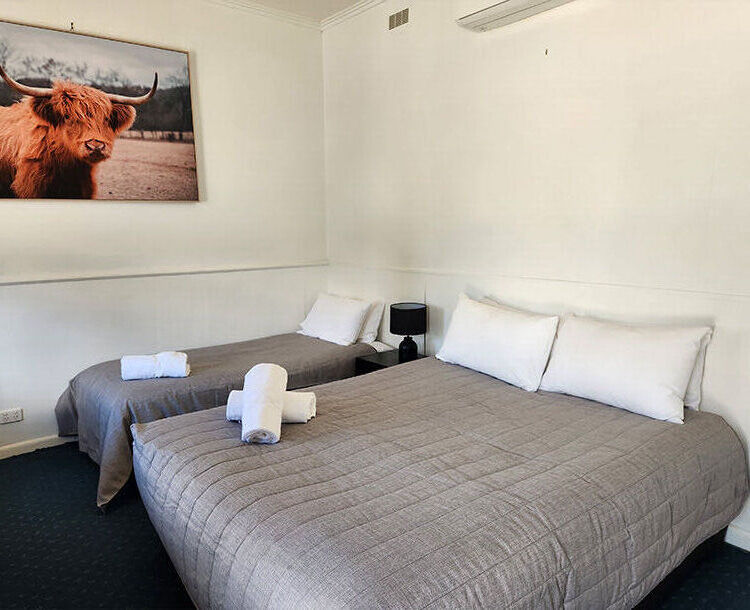 Caler Family Motel - Bendigo Vic Queen Twin Room